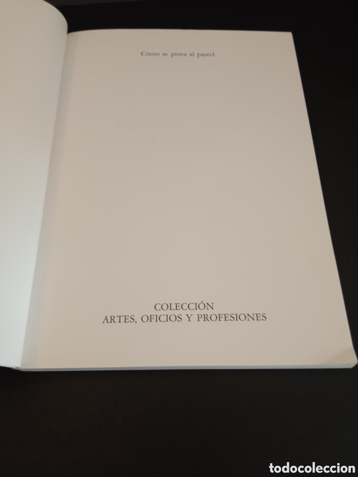 Libros de segunda mano: C&oacute;mo se pinta al pastel - Foto 2