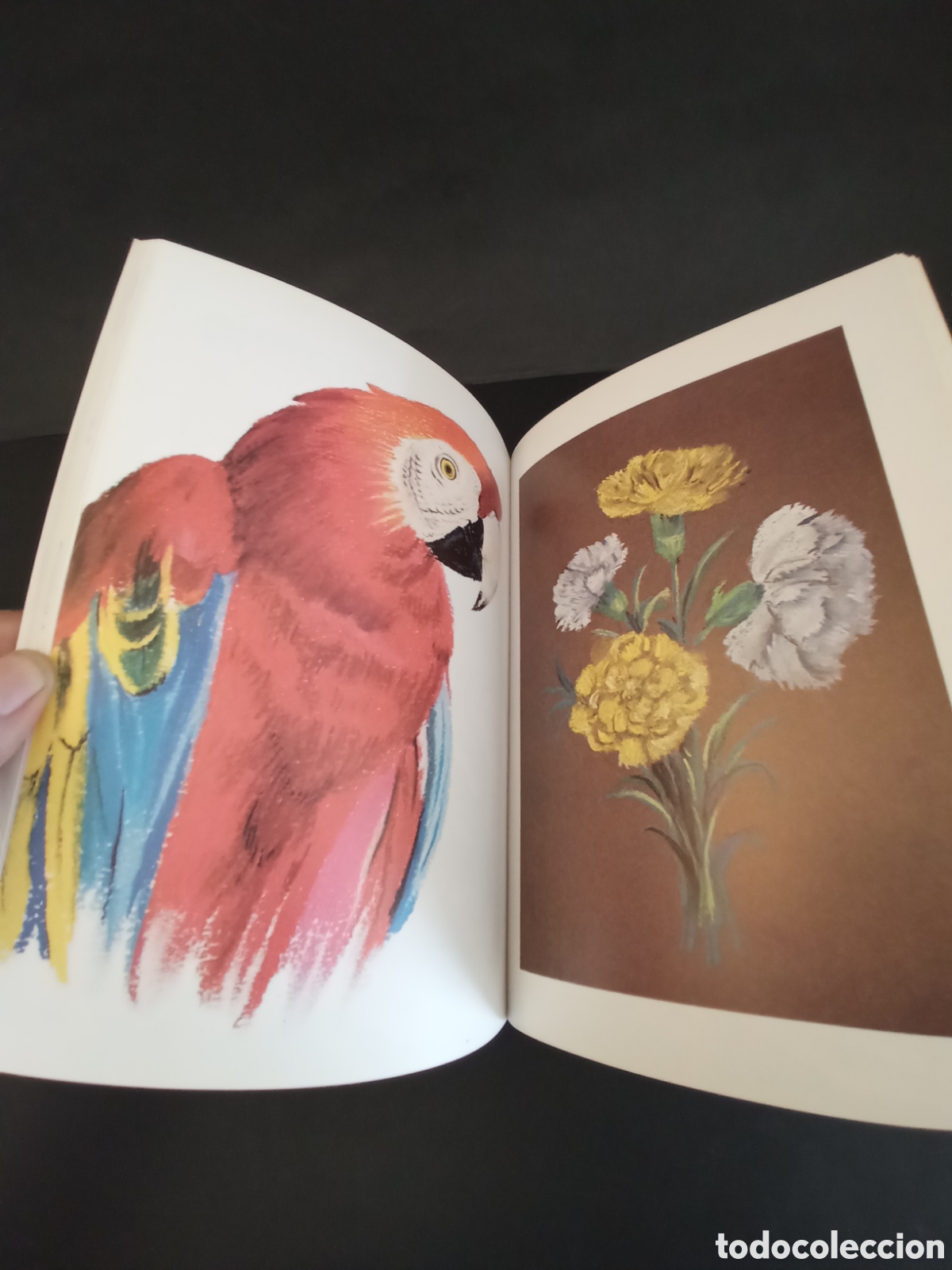 Libros de segunda mano: C&oacute;mo se pinta al pastel - Foto 10