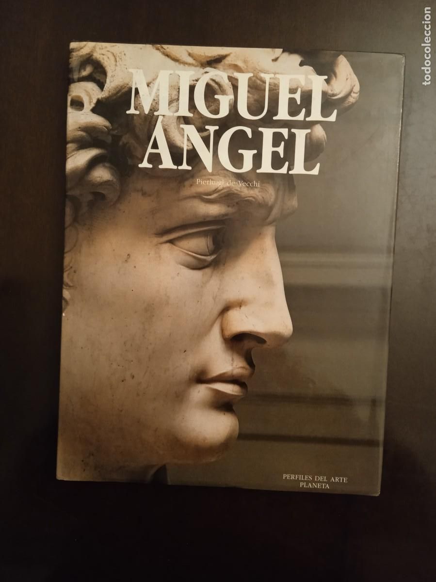 Libros de segunda mano: Pierluigi de Vecchi. MIGUEL ANGEL - Foto 1