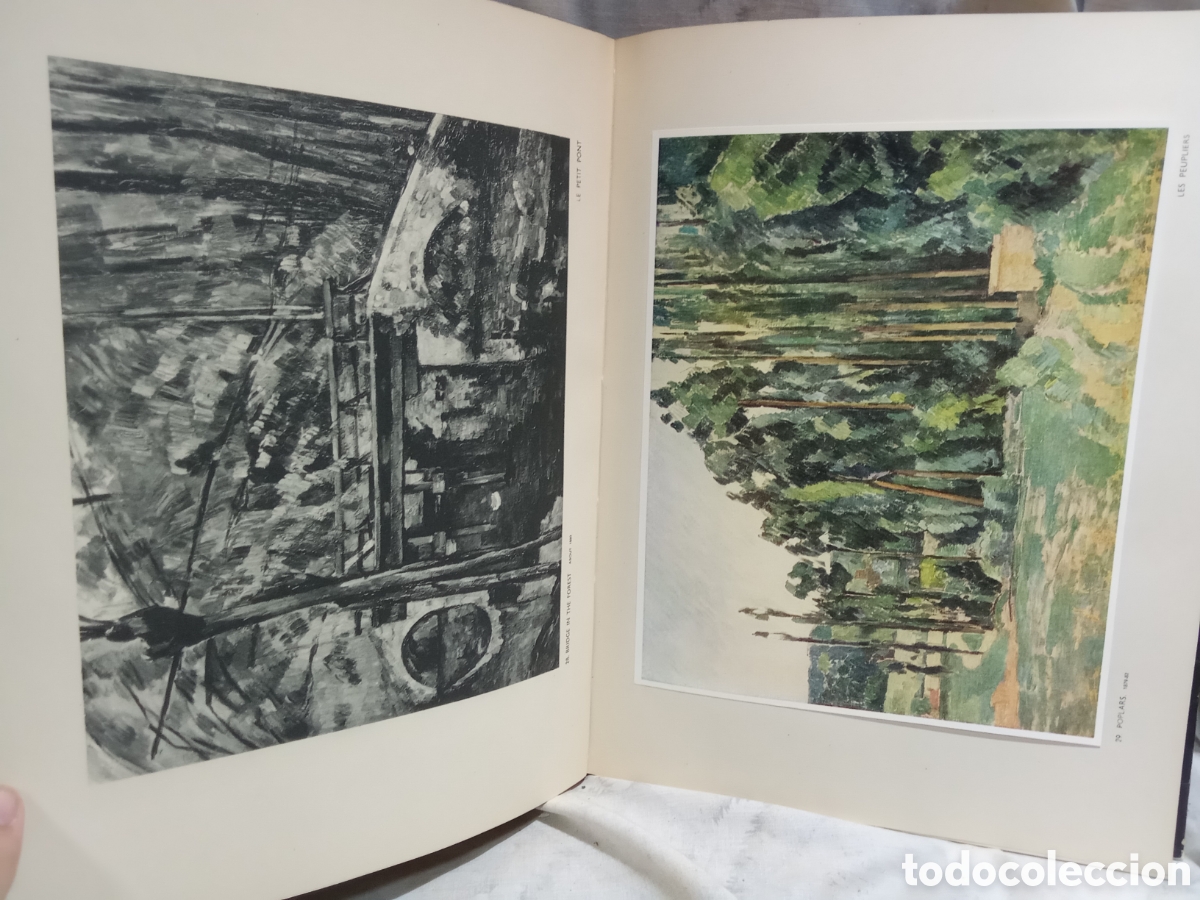 Libros de segunda mano: CEZANNE, PHAIDON CON 113 LAMINAS, 18 A COLOR - Foto 6