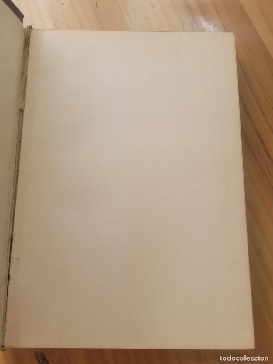 Libros de segunda mano: H&Eacute;ROES DEL COLOR - JULIO E. PAYRO - Foto 2