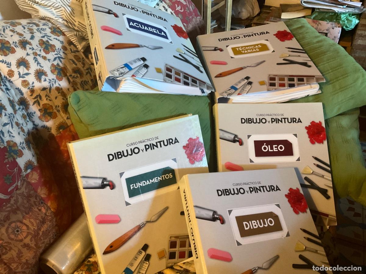 Libros de segunda mano: 5 archivadores curso practico de dibujo y pintura rba completo