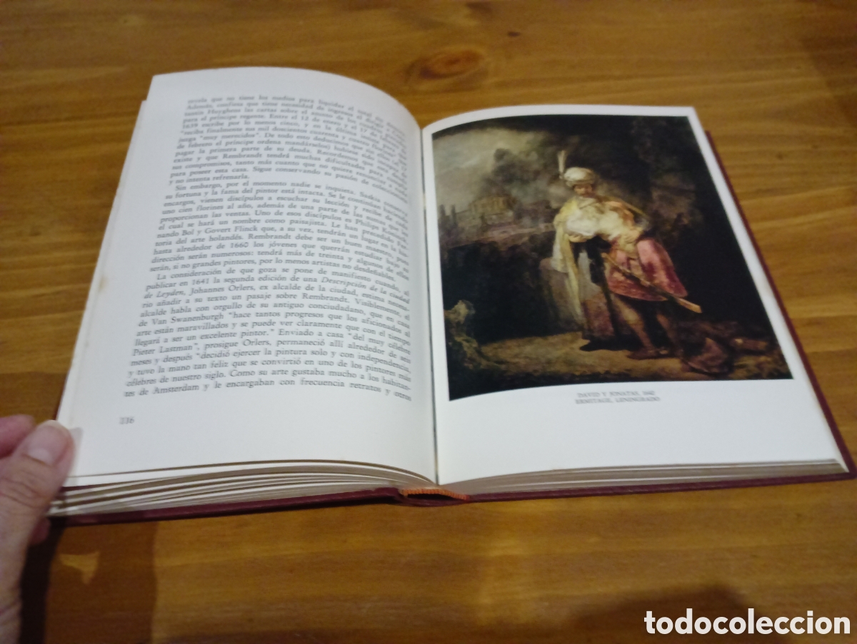 Libros de segunda mano: Rembrandt. Ediciones Daimon. - Foto 7