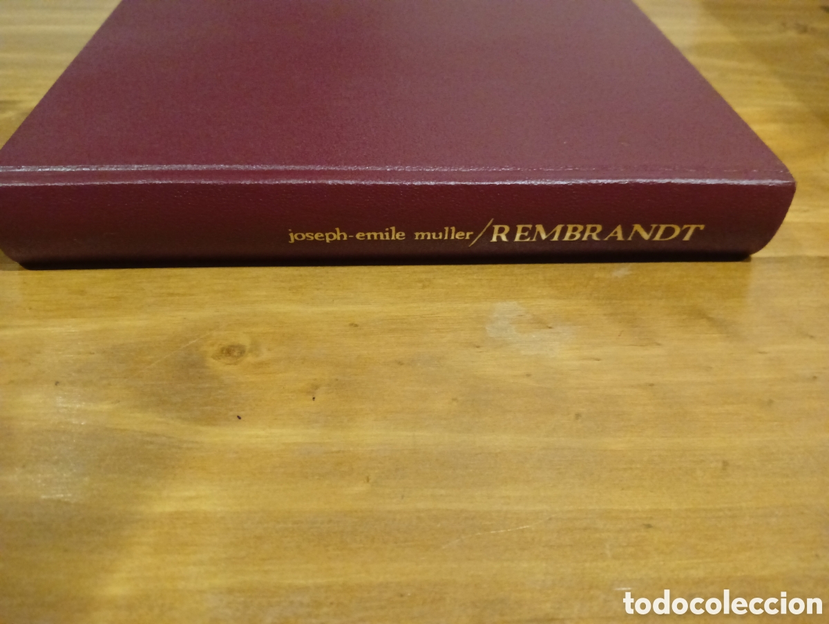 Libros de segunda mano: Rembrandt. Ediciones Daimon. - Foto 8