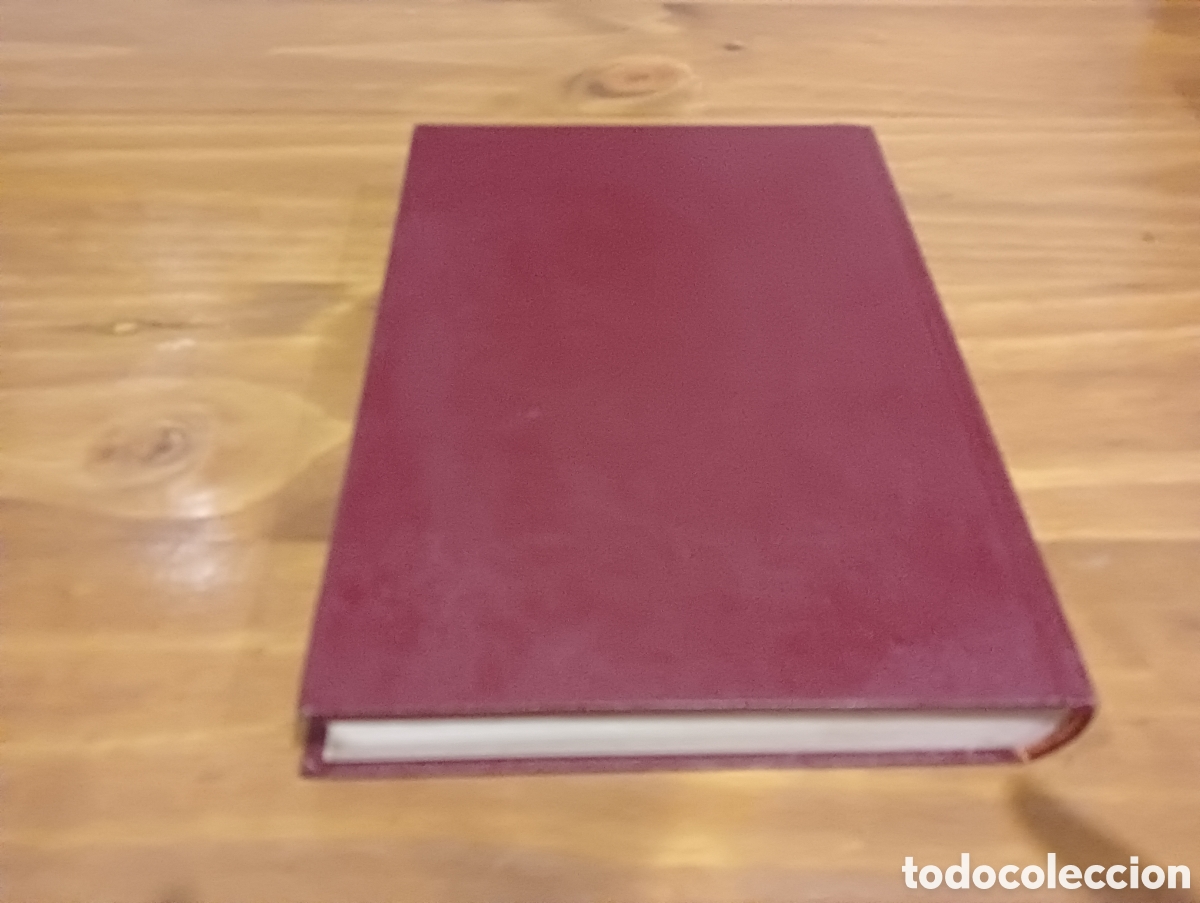 Libros de segunda mano: Rembrandt. Ediciones Daimon. - Foto 10