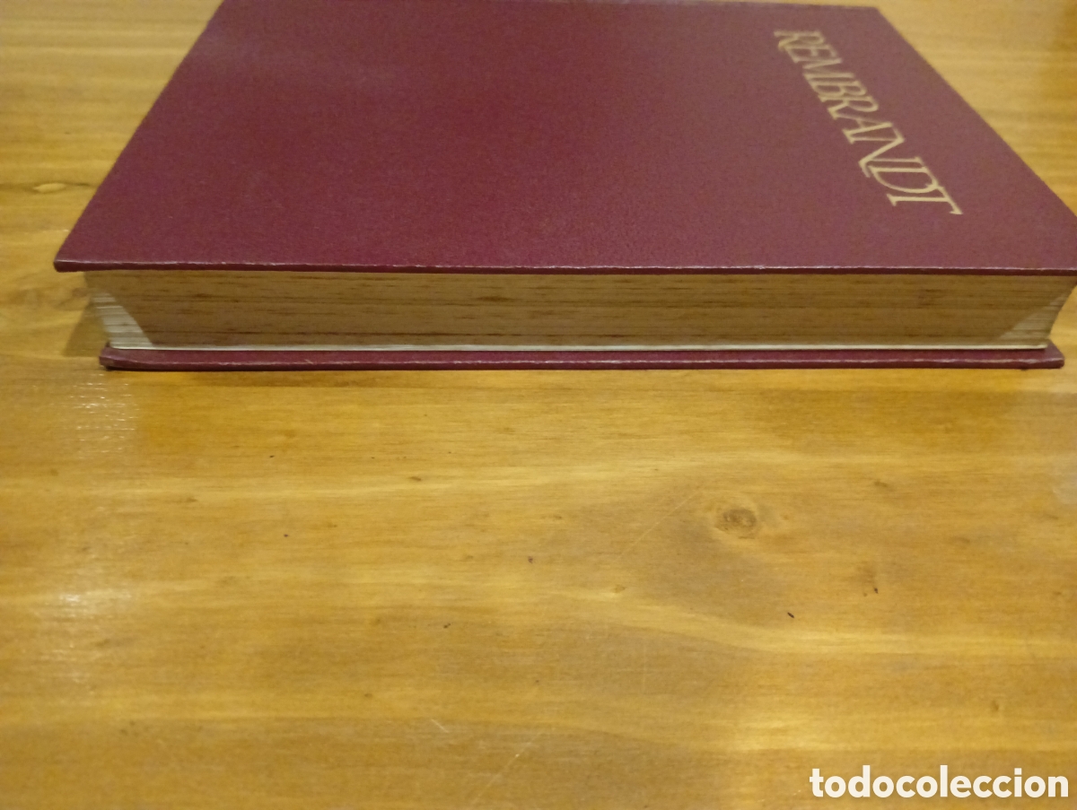 Libros de segunda mano: Rembrandt. Ediciones Daimon. - Foto 11