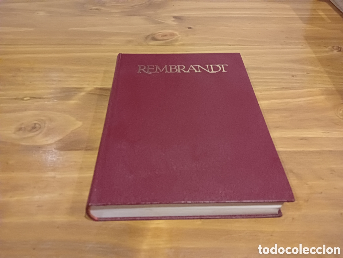 Libros de segunda mano: Rembrandt. Ediciones Daimon. - Foto 1