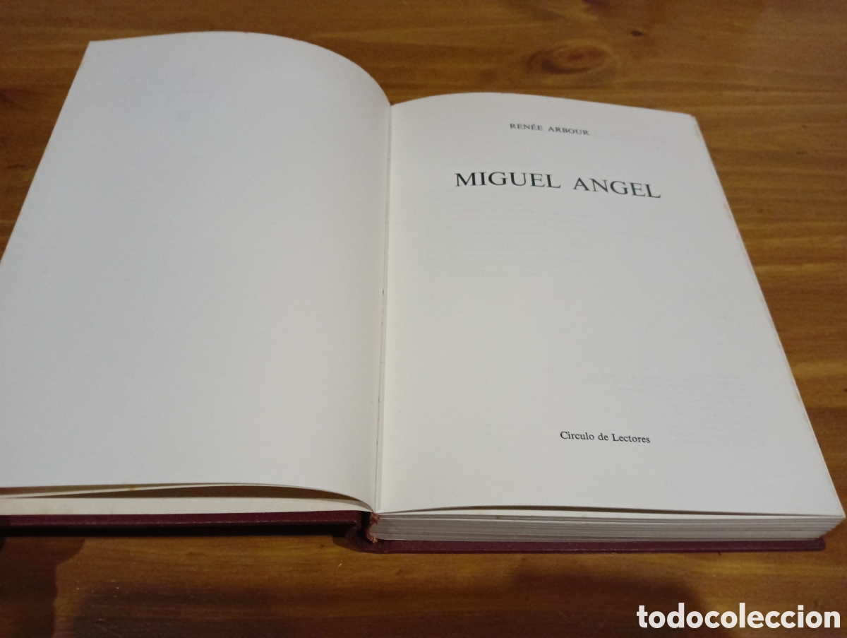 Libros de segunda mano: Miguel &Aacute;ngel ediciones daimon - Foto 3