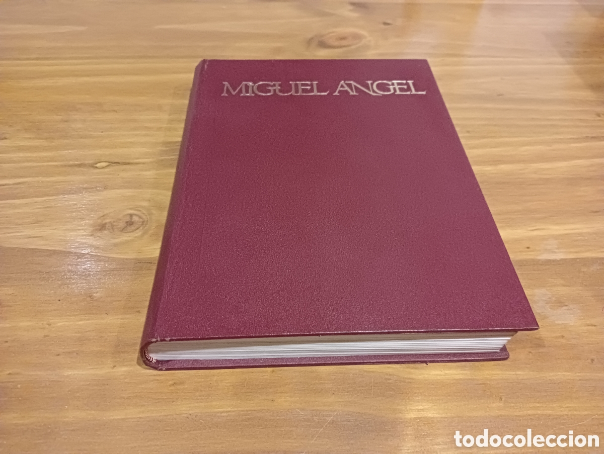 Libros de segunda mano: Miguel &Aacute;ngel ediciones daimon - Foto 1