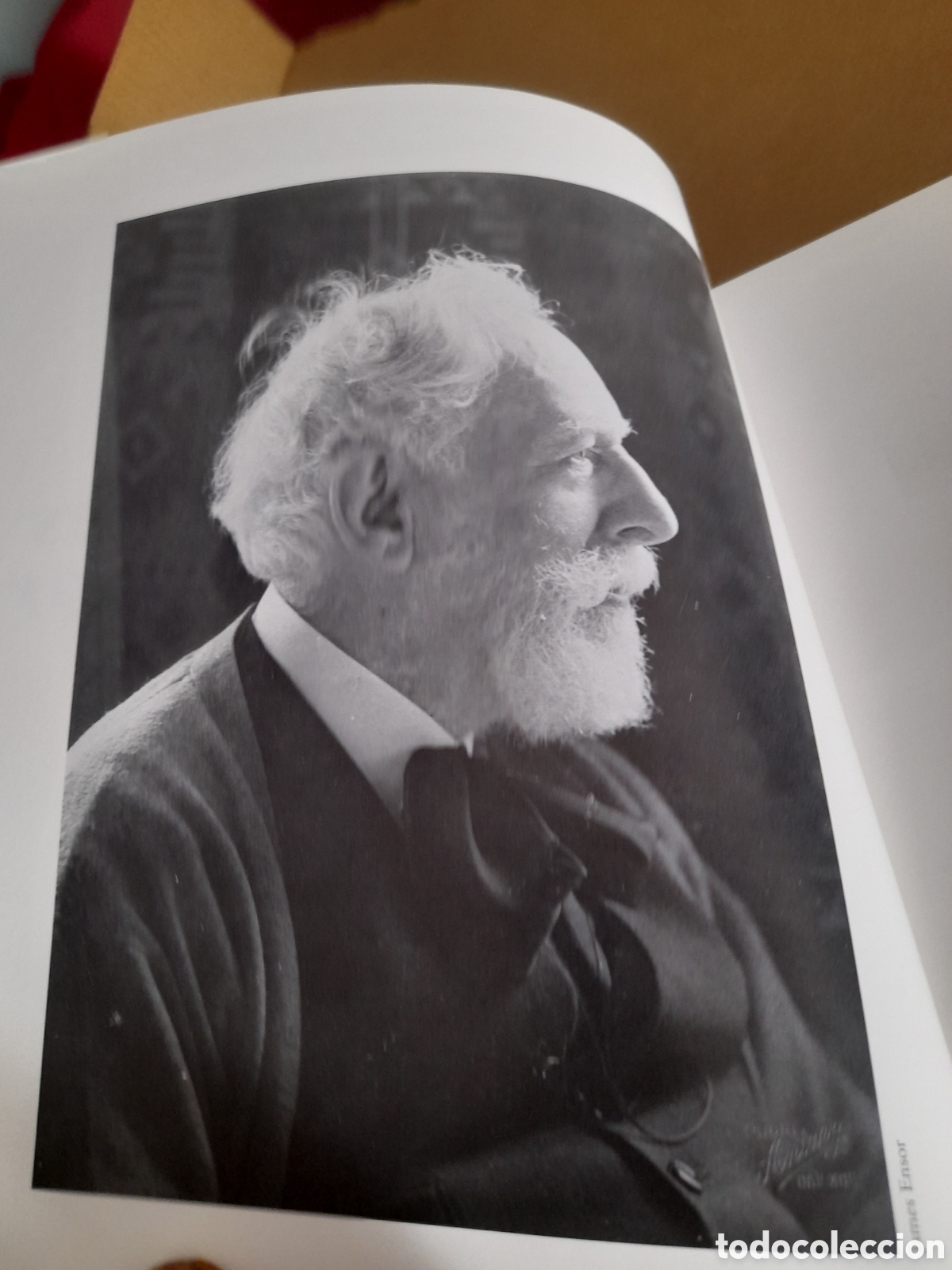 Libros de segunda mano: James Ensor, libro de la exposici&oacute;n de 1996,Madrid /Bilbao - Foto 3