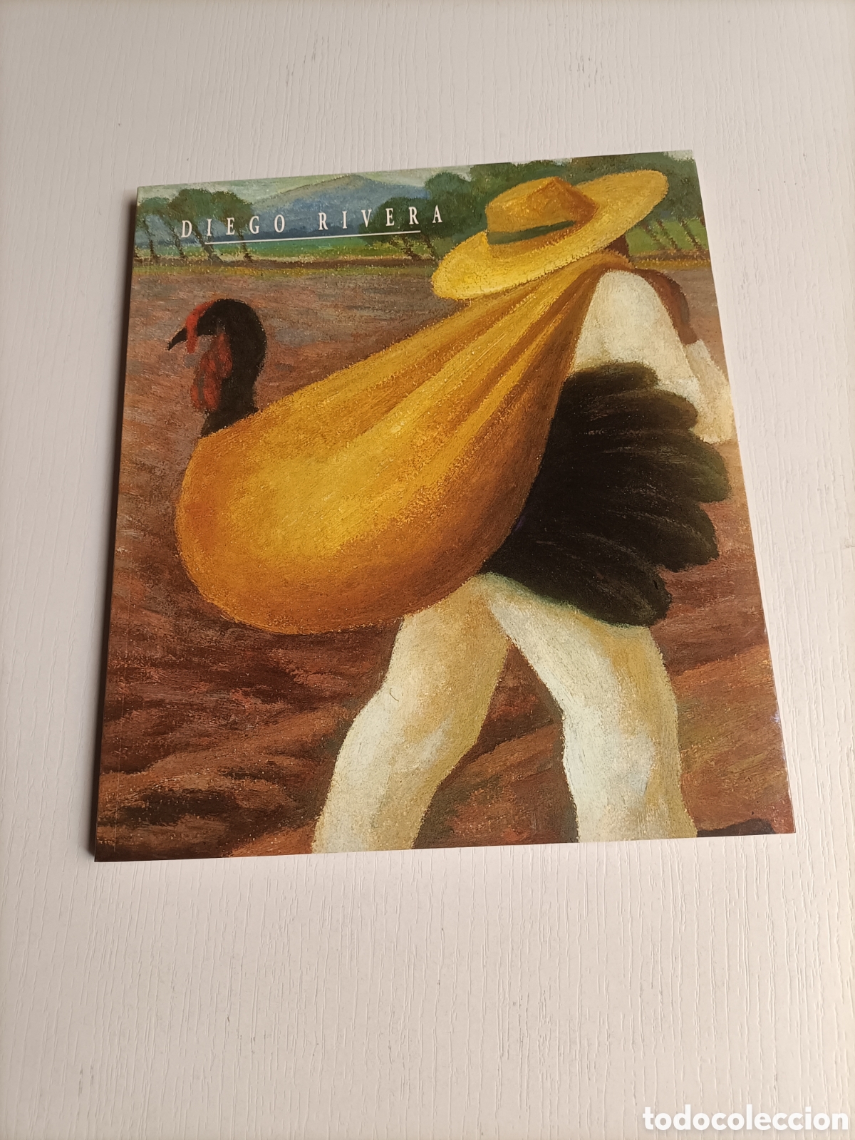 Libros de segunda mano: Diego Rivera. Museo de Pontevedra 2004 - Foto 2