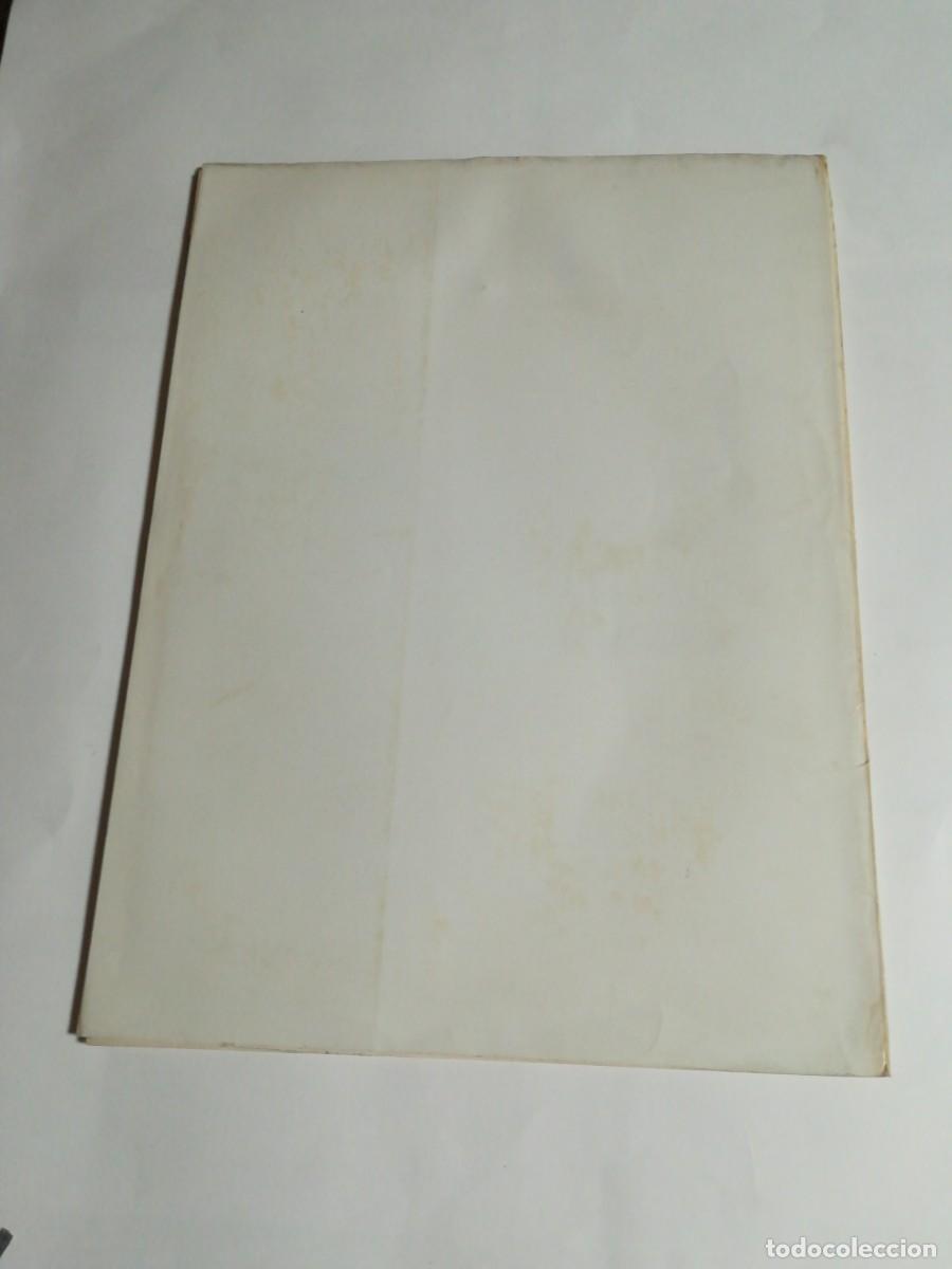 Libros de segunda mano: Pinacoteca de los Genios, N&deg;2 Modigliani, Editorial Codex - Foto 2