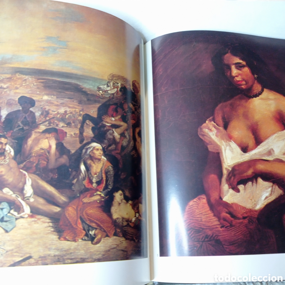 Libros de segunda mano: DELACROIX,Libro de arte, 1 edici&oacute;n - Foto 2