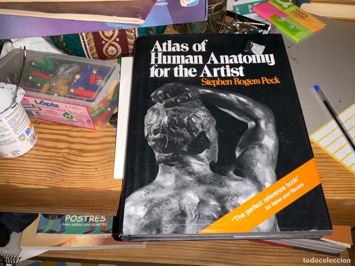 Gebrauchte B&uuml;cher: Atlas of Human Anatomy for the Artist. - Peck, Stephen Rogers anatomia para artistas