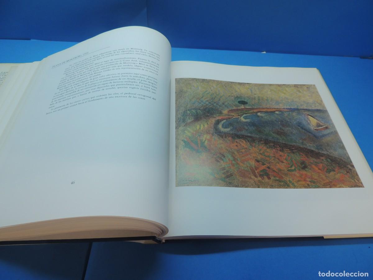 Libros de segunda mano: MIR&Oacute;.- GEORGES RAILLARD - Foto 11