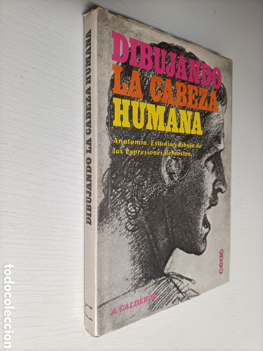 Libros de segunda mano: Dibujando la cabeza. Anatom&iacute;a estudio y dibujos de las expresiones del rostro. T&eacute;cnicas pintura cald
