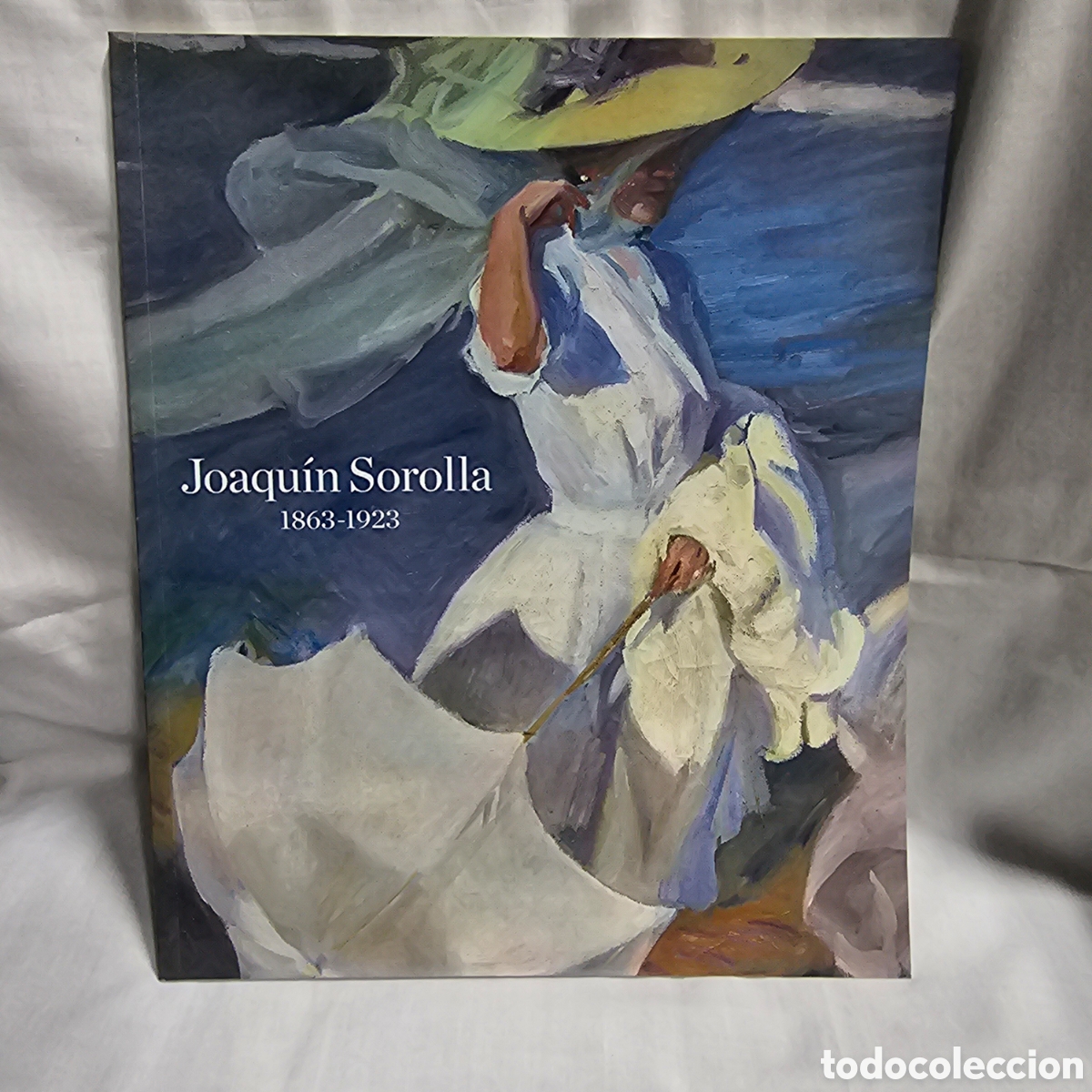 Libros de segunda mano: JOAQU&Iacute;N SOROLLA. 1863 - 1923. - Foto 1
