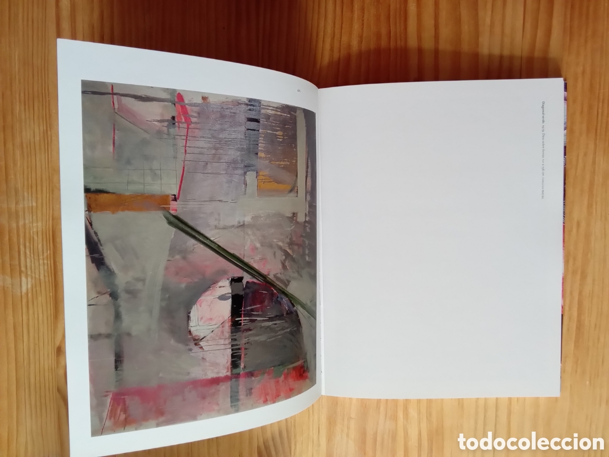 Libros de segunda mano: Cat&aacute;logo exposici&oacute;n Alberto Solsona. - Foto 2