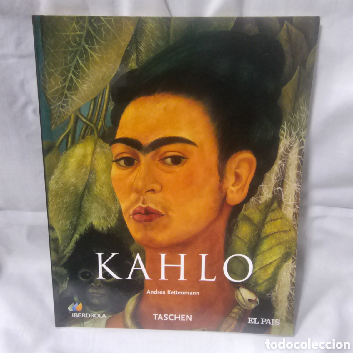 Libros de segunda mano: Kahlo taschen el pais