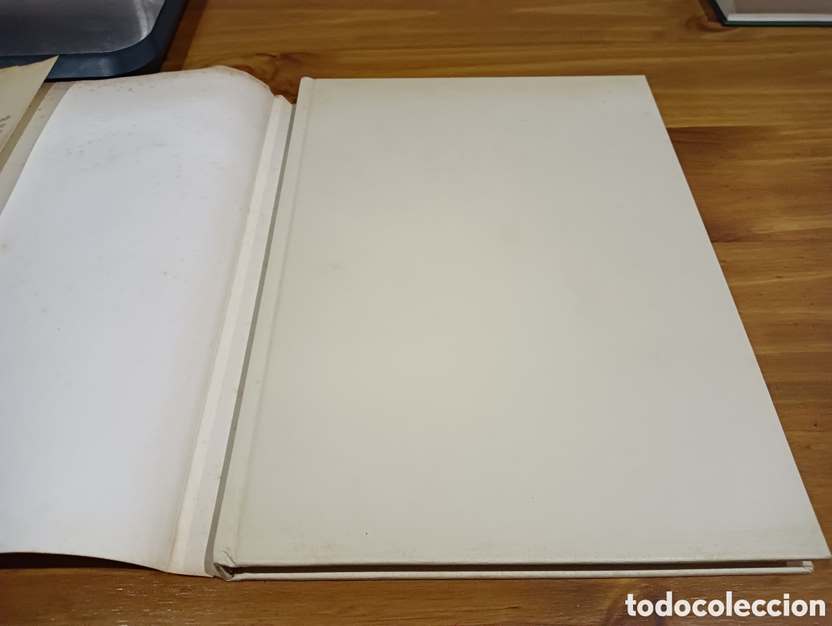 Libros de segunda mano: Dal&iacute;. Ignacio G&oacute;mez de lia&ntilde;o - Foto 2