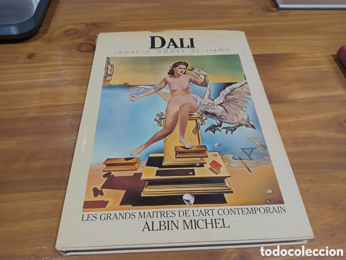 Libros de segunda mano: Dal&iacute;. Ignacio G&oacute;mez de lia&ntilde;o - Foto 1