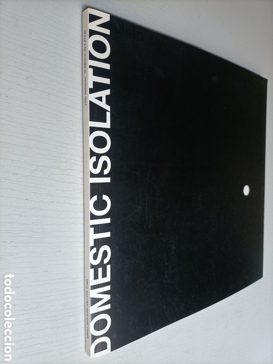 Libros de segunda mano: Domestic Isolation. Julio Sarmento