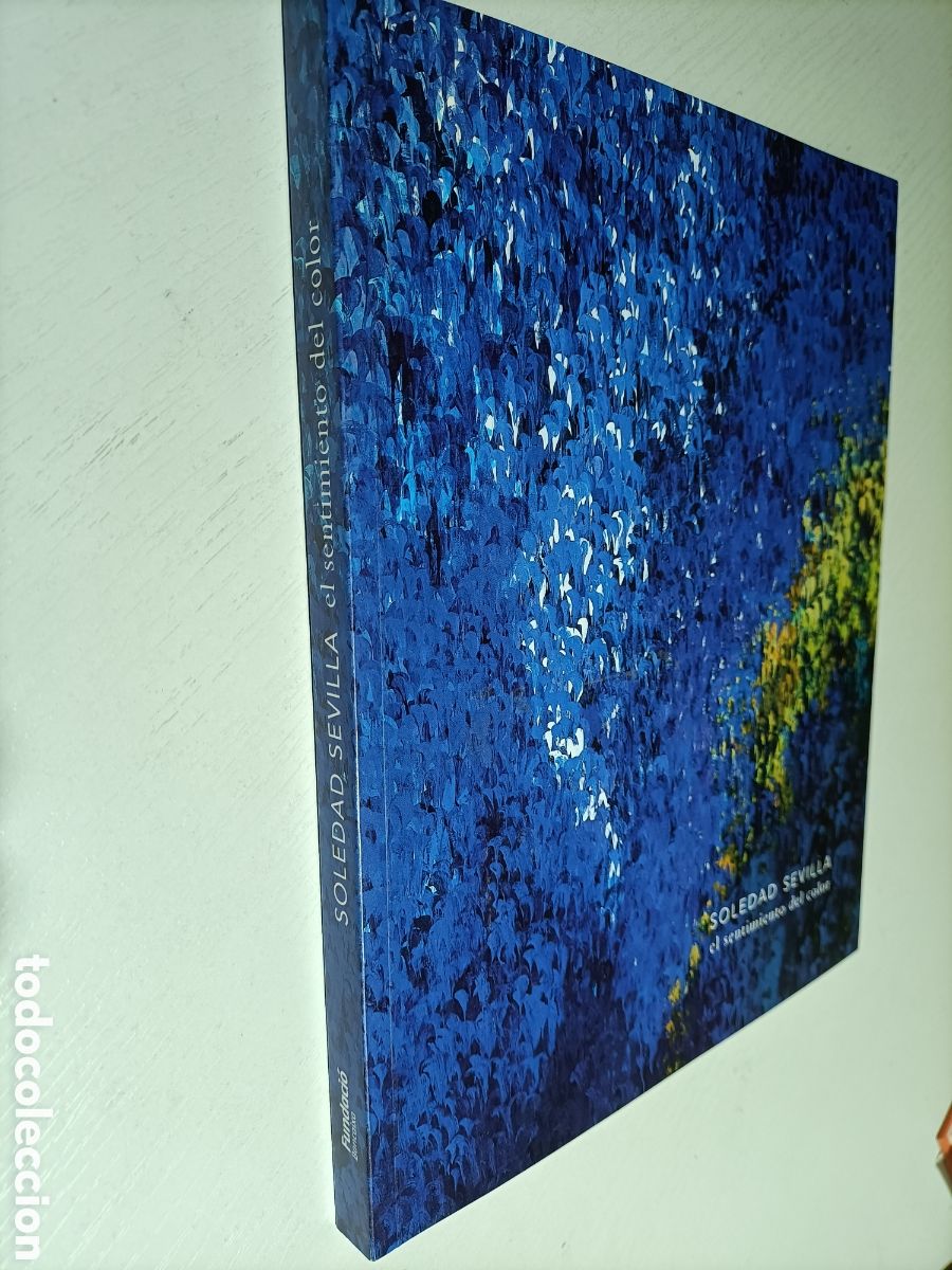 Gebrauchte B&uuml;cher: Soledad Sevilla. El sentimiento del color. Valencia 2019 . Pintura XXI