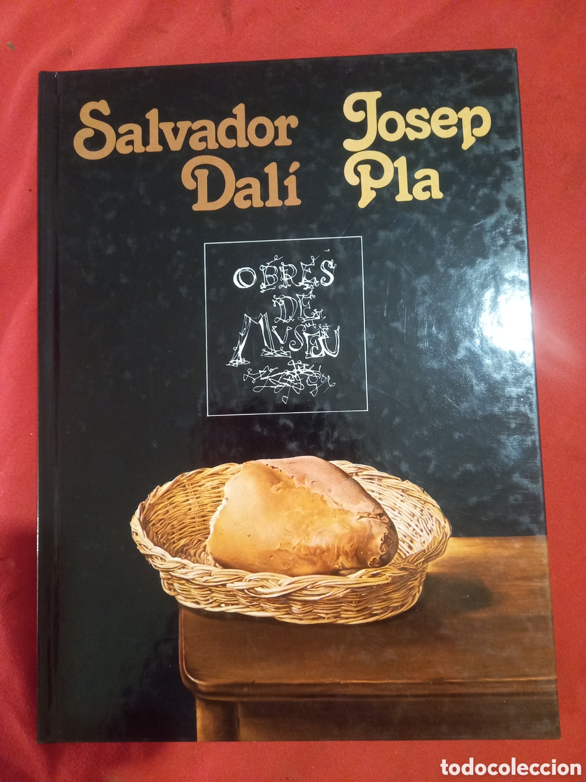 Libros de segunda mano: Salvador Dal&iacute;/ Josep Pla. - Foto 1