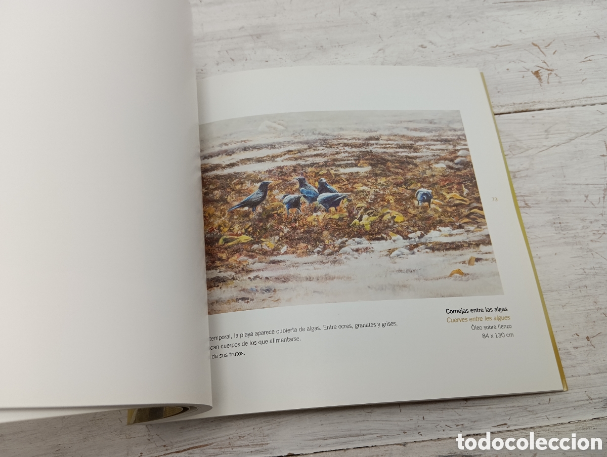Libros de segunda mano: CUADERNO DE LA R&Iacute;A. GONZALO GIL - Foto 6
