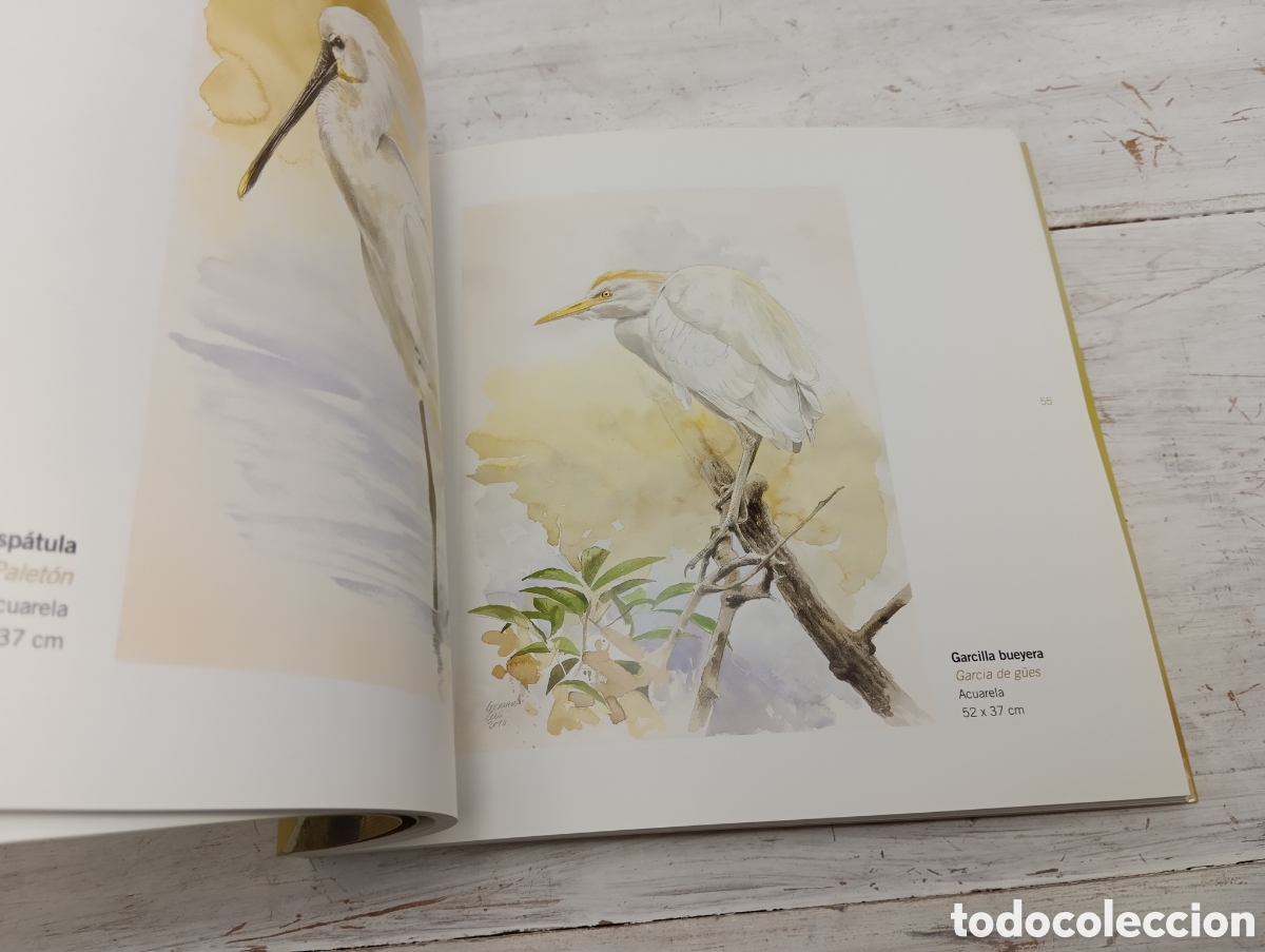 Libros de segunda mano: CUADERNO DE LA R&Iacute;A. GONZALO GIL - Foto 8