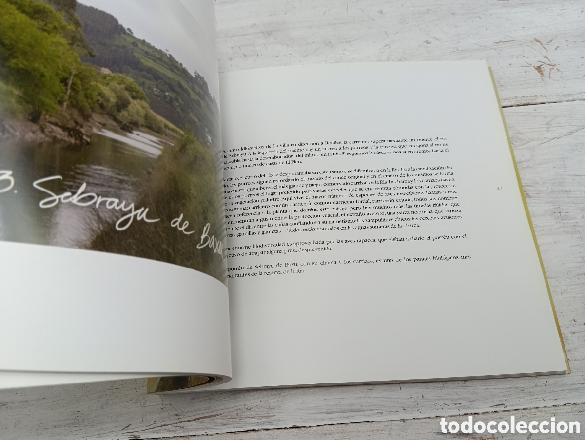 Libros de segunda mano: CUADERNO DE LA R&Iacute;A. GONZALO GIL - Foto 9