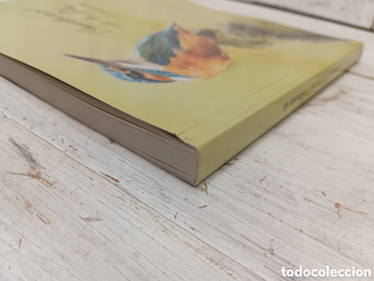 Libros de segunda mano: CUADERNO DE LA R&Iacute;A. GONZALO GIL - Foto 14