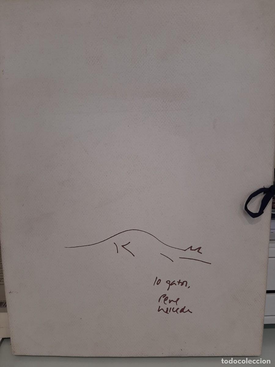 Libros de segunda mano: Pepe Molleda. 10 gatos - Foto 1