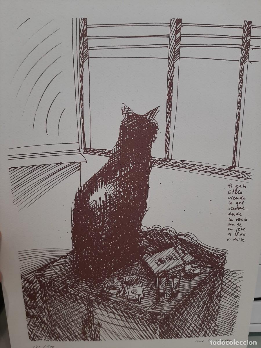 Libros de segunda mano: Pepe Molleda. 10 gatos - Foto 3
