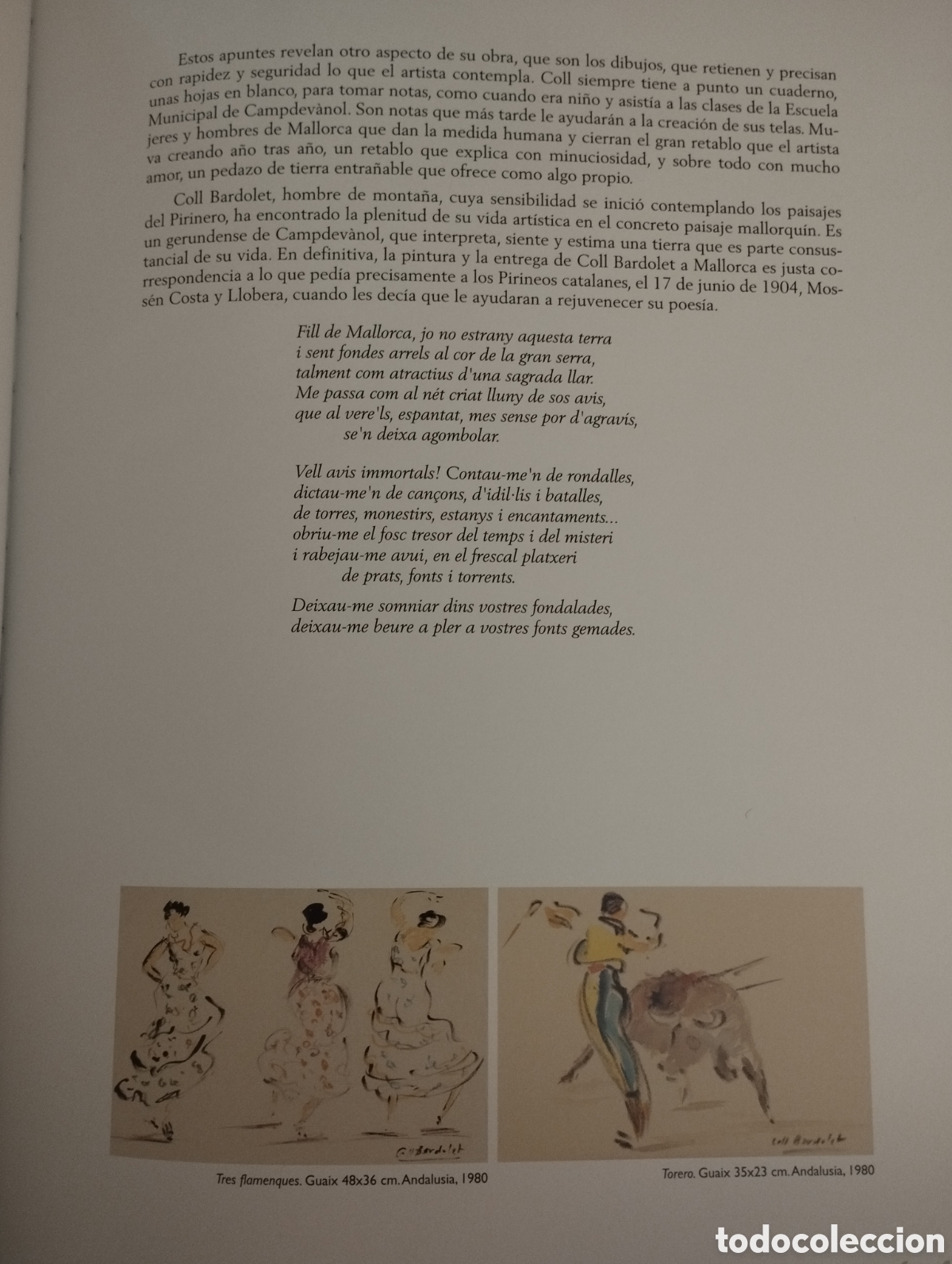 Libros de segunda mano: ELS COLORS DE LA LLUM. JOSEP COLL BARDOLET - Foto 7