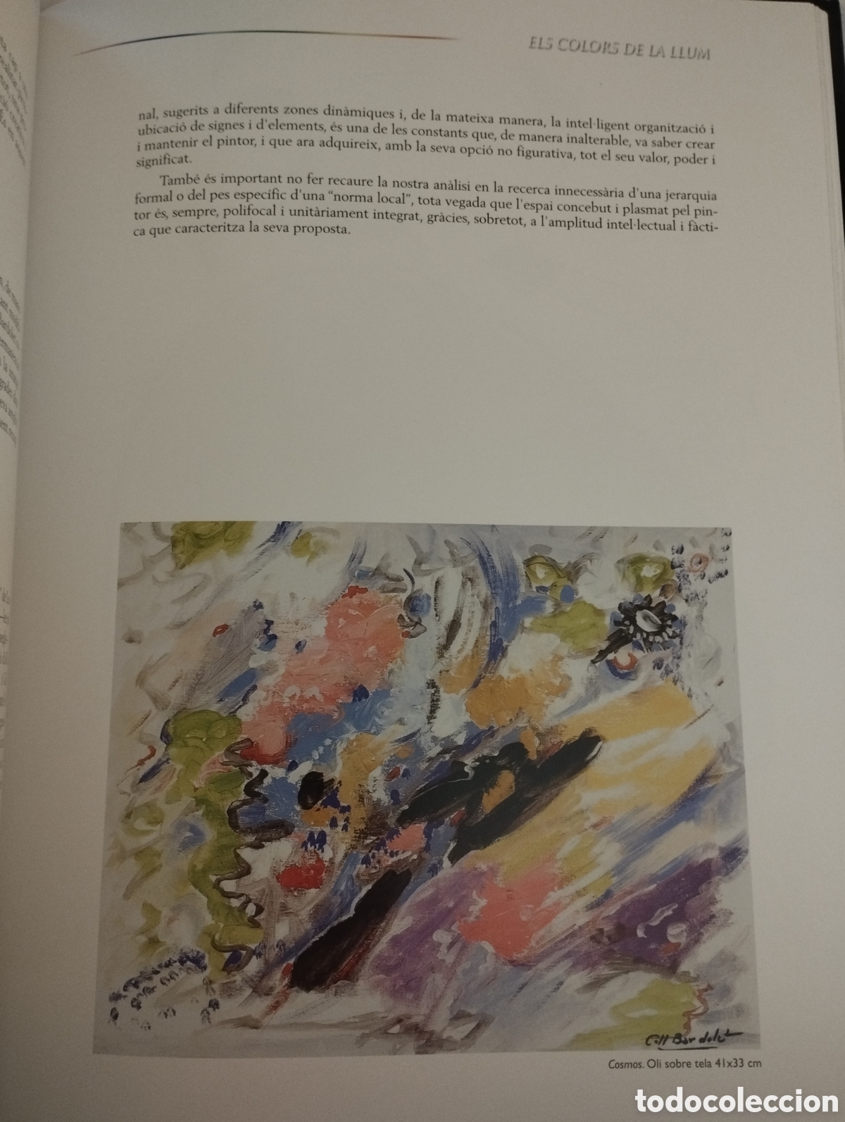 Libros de segunda mano: ELS COLORS DE LA LLUM. JOSEP COLL BARDOLET - Foto 9