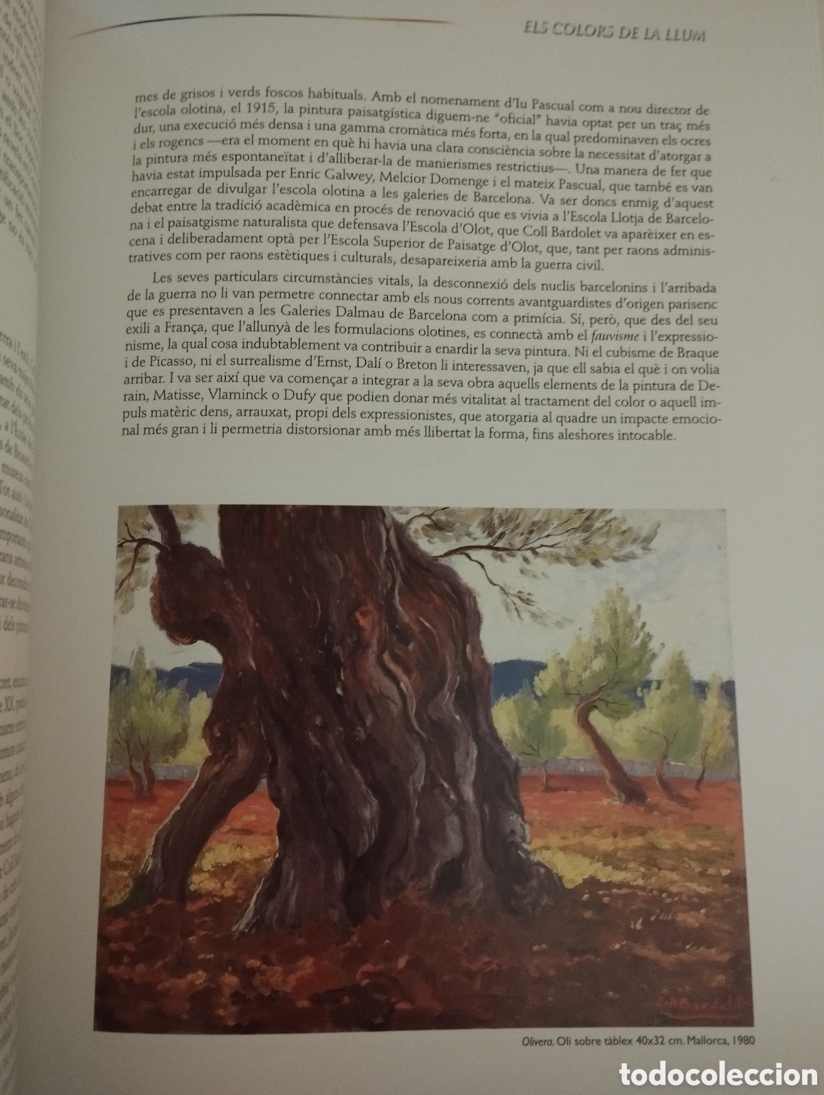 Libros de segunda mano: ELS COLORS DE LA LLUM. JOSEP COLL BARDOLET - Foto 10