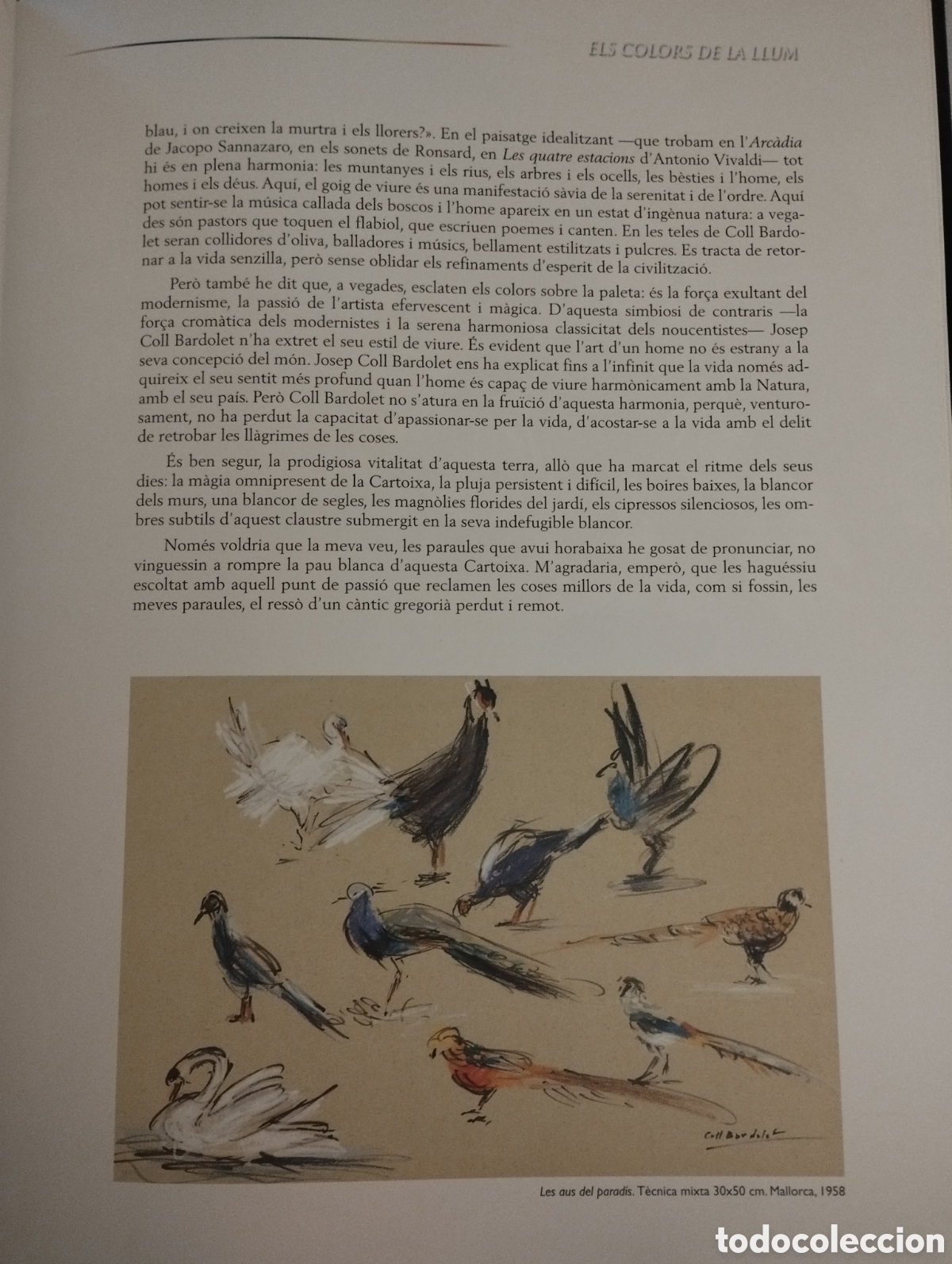 Libros de segunda mano: ELS COLORS DE LA LLUM. JOSEP COLL BARDOLET - Foto 11
