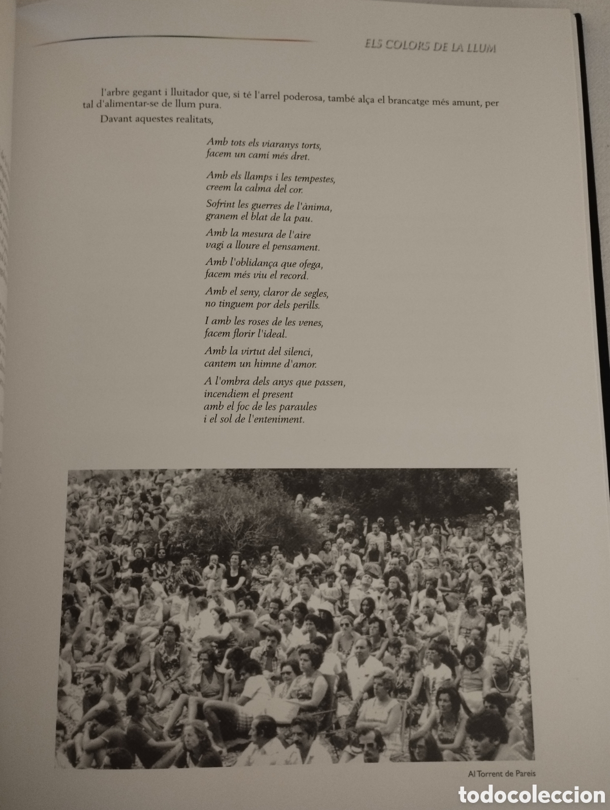 Libros de segunda mano: ELS COLORS DE LA LLUM. JOSEP COLL BARDOLET - Foto 13
