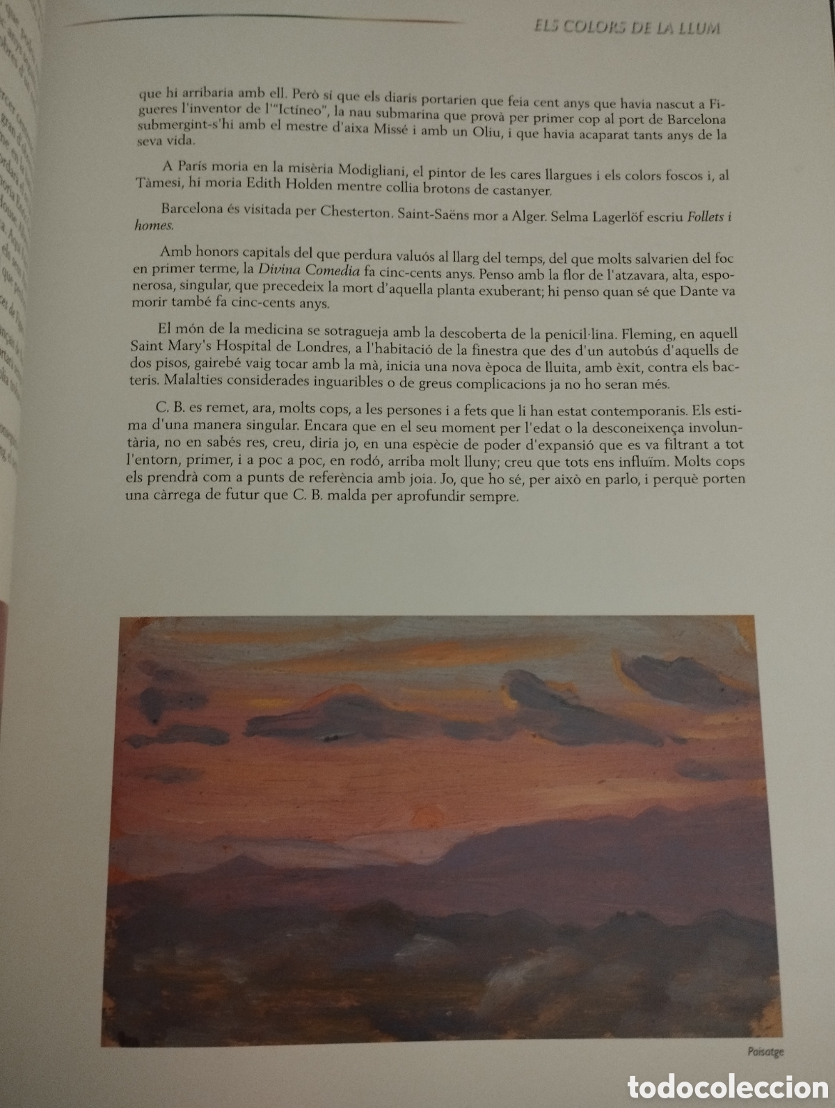 Libros de segunda mano: ELS COLORS DE LA LLUM. JOSEP COLL BARDOLET - Foto 14