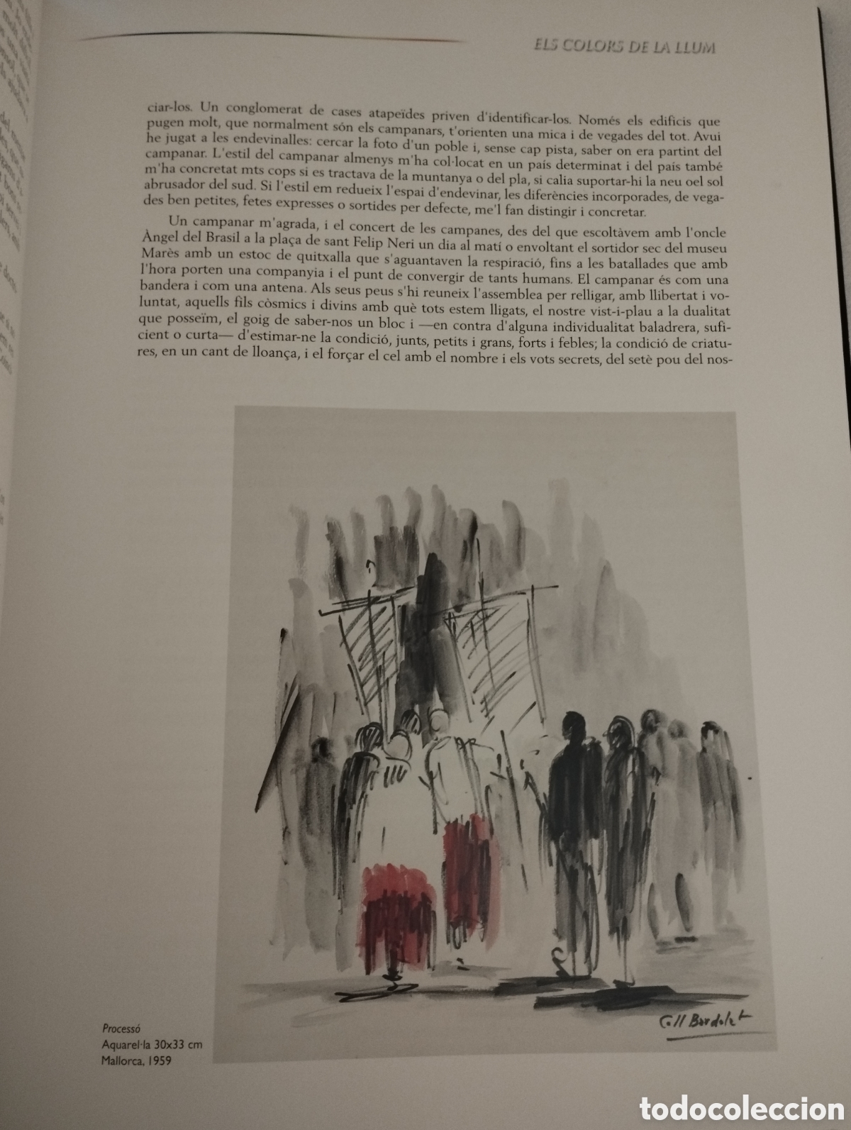 Libros de segunda mano: ELS COLORS DE LA LLUM. JOSEP COLL BARDOLET - Foto 15