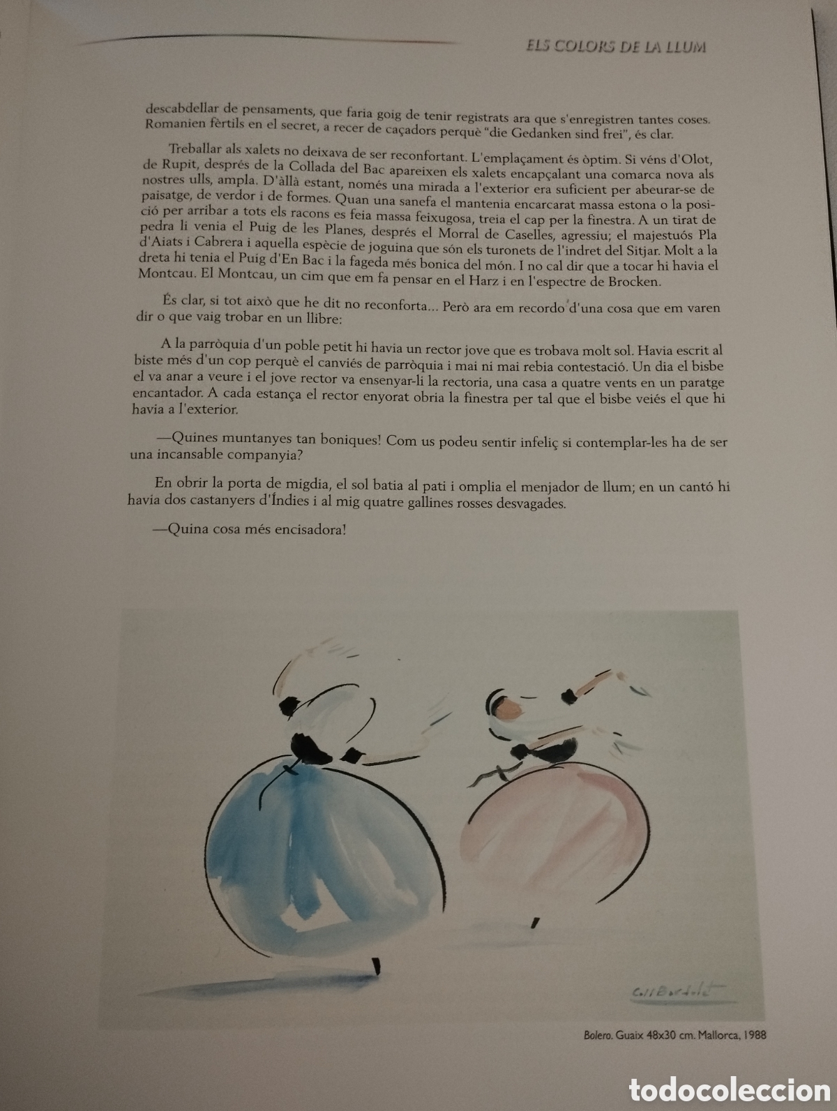 Libros de segunda mano: ELS COLORS DE LA LLUM. JOSEP COLL BARDOLET - Foto 16