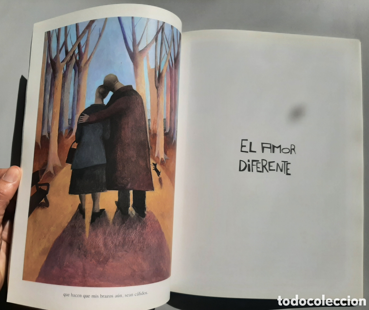 Libros de segunda mano: Libro AMANTES. Ana Juan. - Foto 2