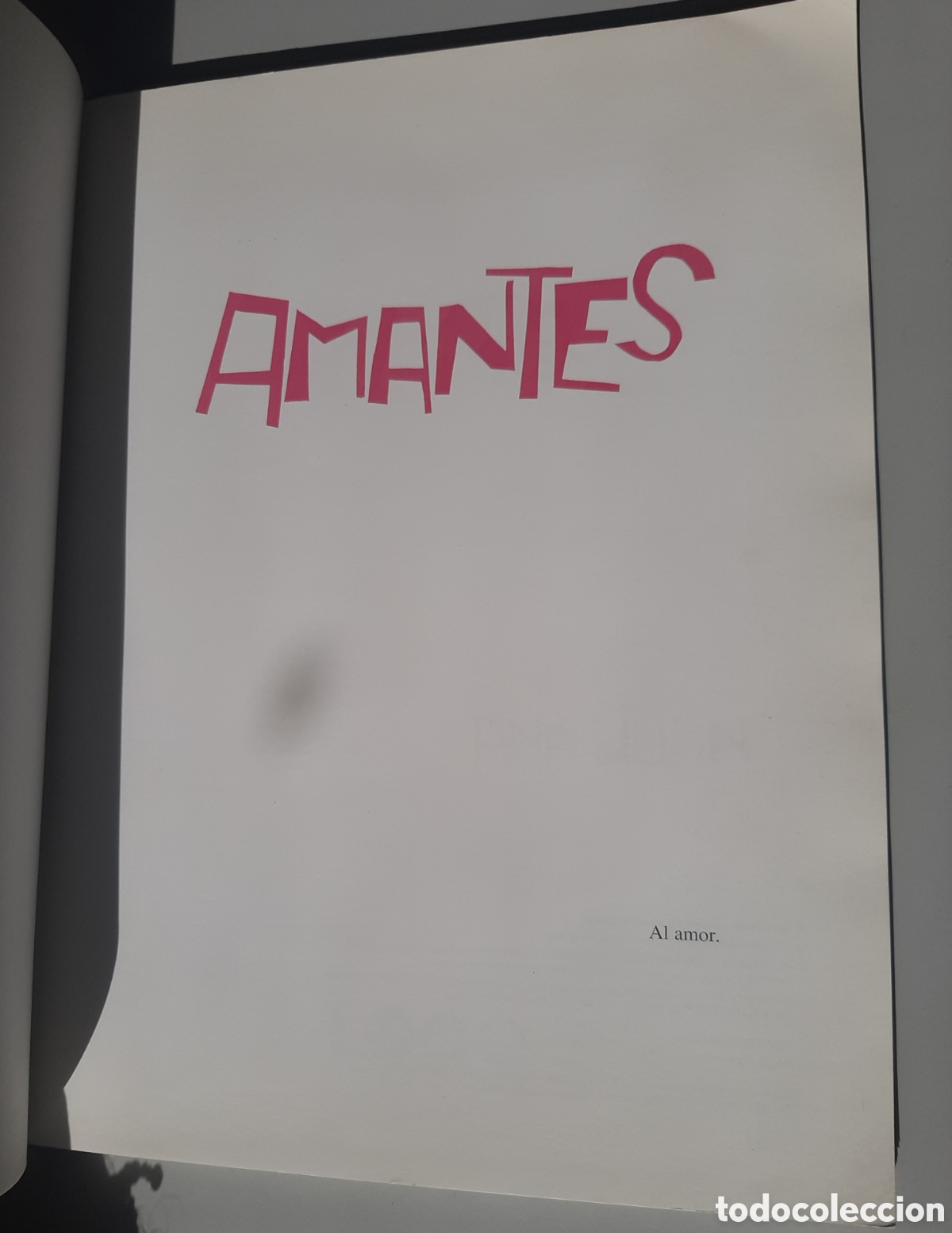Libros de segunda mano: Libro AMANTES. Ana Juan. - Foto 5