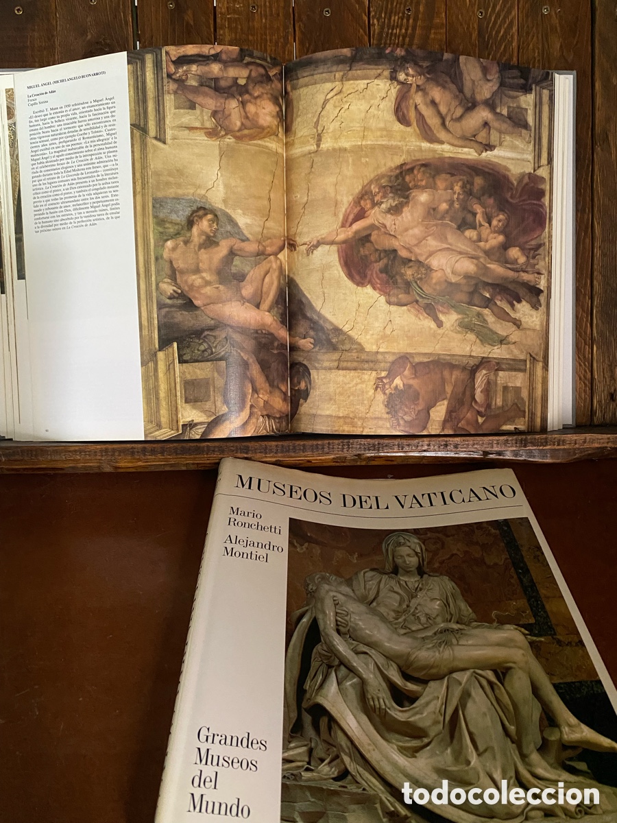Libros de segunda mano: Museos del vaticano Mario Ronchetti - Foto 13