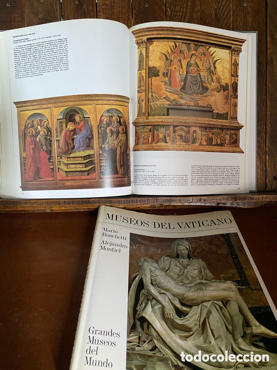 Libros de segunda mano: Museos del vaticano Mario Ronchetti - Foto 21
