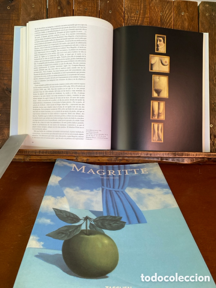 Libros de segunda mano: Magritte de Jacques neuroscience - Foto 9