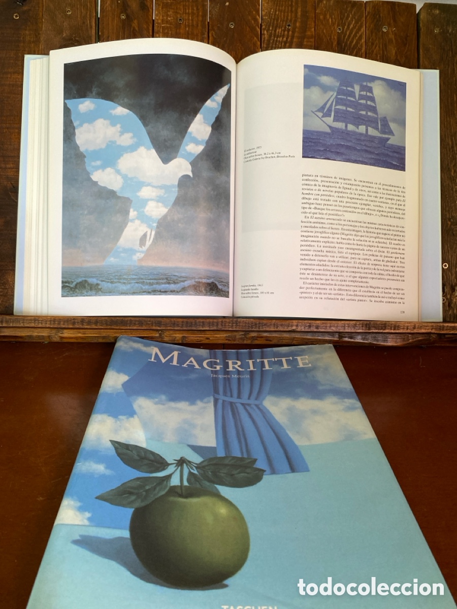 Libros de segunda mano: Magritte de Jacques neuroscience - Foto 12