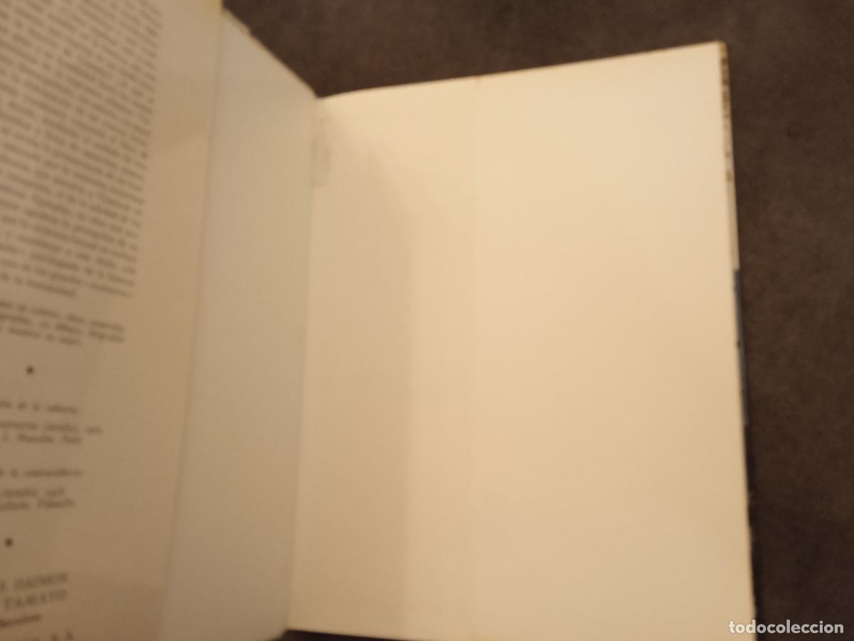 Libros de segunda mano: VLAMINCK. DAIMON. JEAN SELZ. - Foto 2