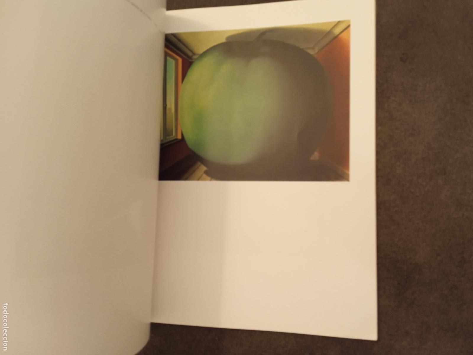 Libros de segunda mano: MAGRITTE. DAVID LARKIN. EDICIONES JUCAR. - Foto 3